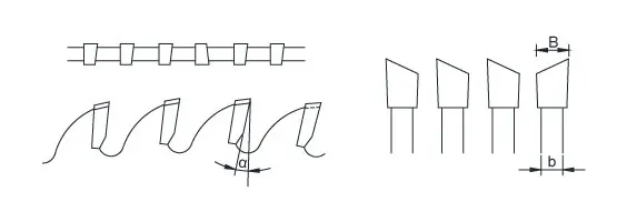 3L1R tooth type diagram