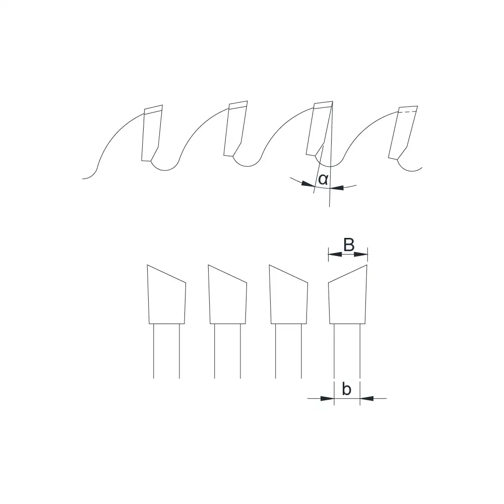 3L1R tooth type diagram