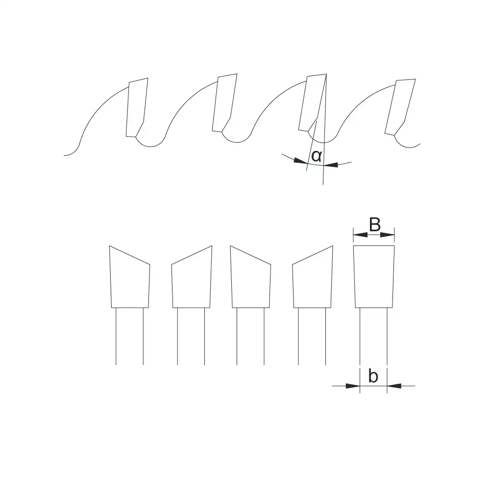 ATB5 tooth type diagram