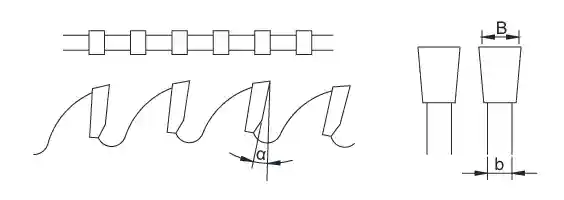 FTG tooth type diagram