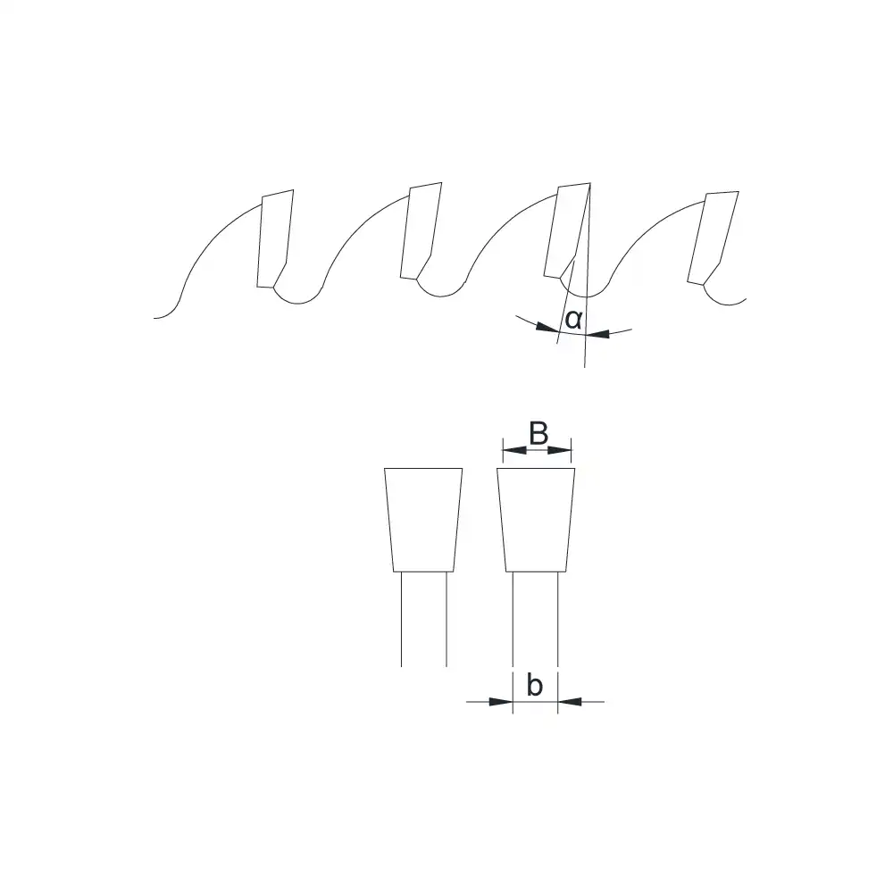FTG tooth type diagram
