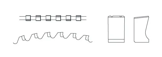 TB tooth type diagram