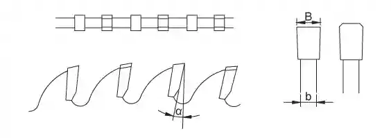 TCG tooth type diagram