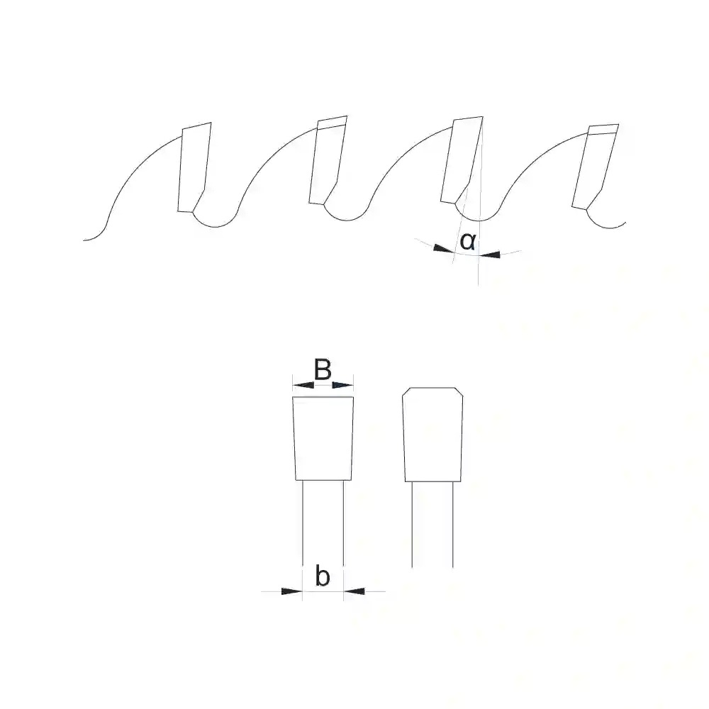 TCG tooth type diagram