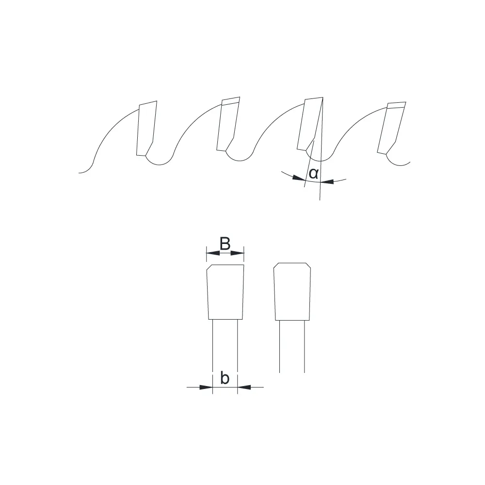 mTCG-1 tooth type diagram